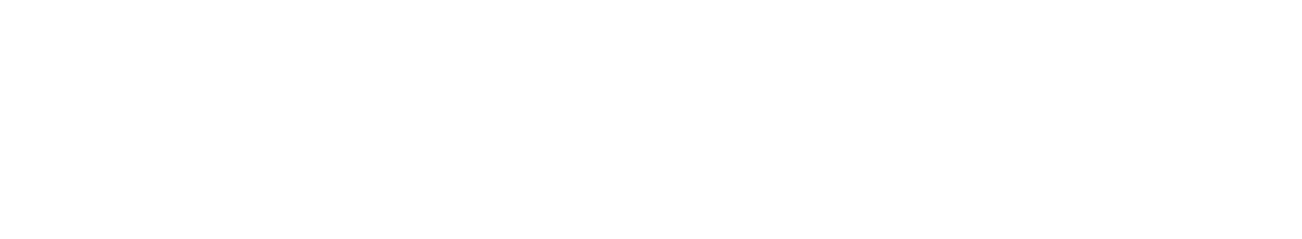 Solidatus